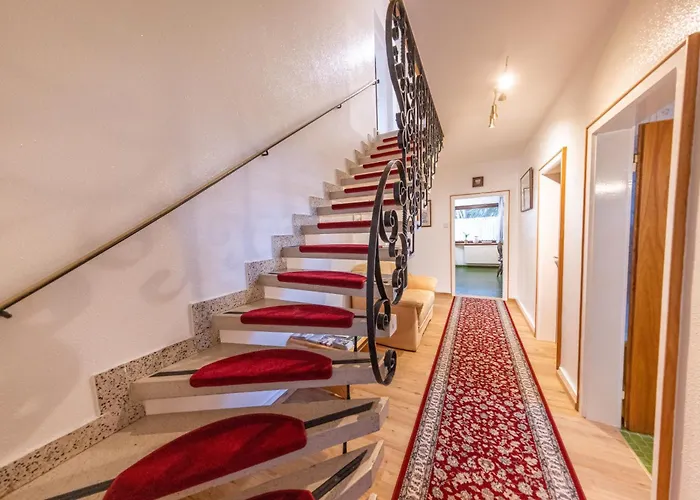 Am * Τσελ αμ Ζέε